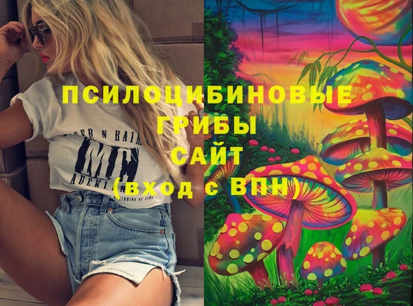 MDMA Заводоуковск