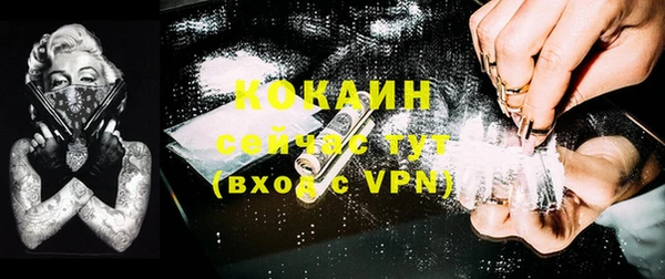 стаф Козельск