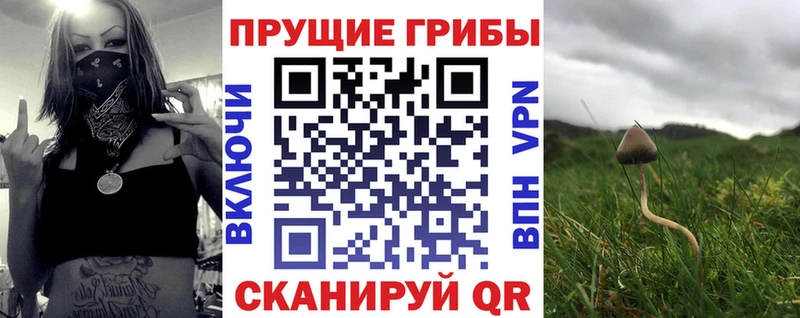 Галлюциногенные грибы Psilocybine cubensis  закладки  OMG ССЫЛКА  Магнитогорск 