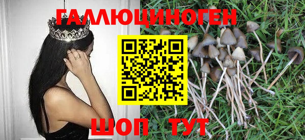 Галлюциногенные грибы Psilocybine cubensis  Вход с VPN  Магнитогорск  Псилоцибиновые грибы Magic Shrooms 